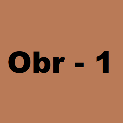 Obrázek 1